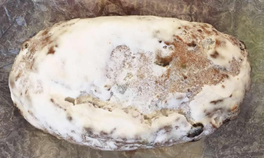 Dresden Christmas stollen (fruit loaf)