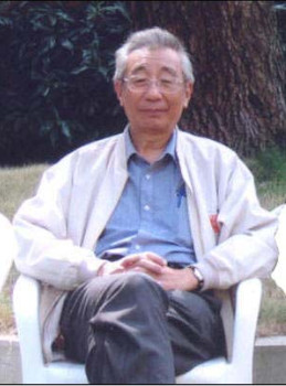 Wenguang  Han