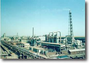 Ĺ-- 1954-1974(17-37)ϻ˾ֵ๤,