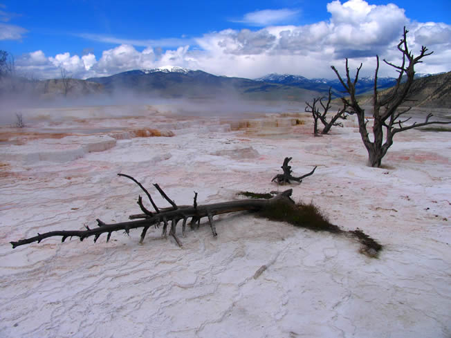 Yellowstone Nat. Park, Wyoming. At Mammoth Hot Springs the calcium carbonate water forms spectacular terraces.