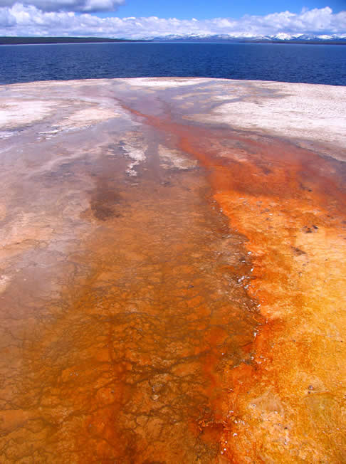 Yellowstone NP - hot springs and pools 