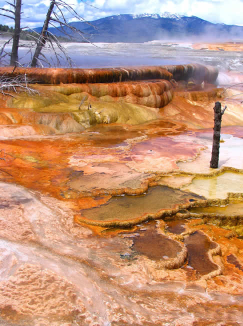 Yellowstone NP. Spectacular terraces at Mammoth Hot Springs