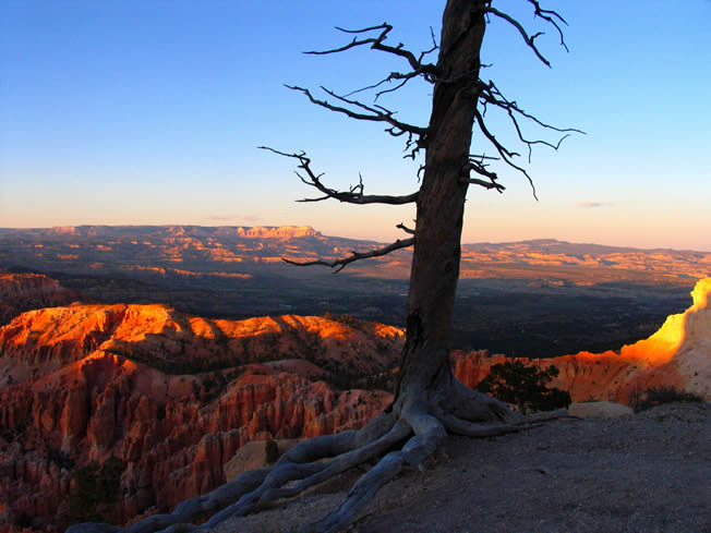 Bryce Canyon, Utah.