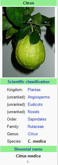 Zitronat oder Citronat 