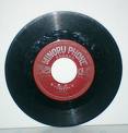 Vinyl 45"(45תϩƬ)