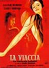 άǡũׯ La Viaccia